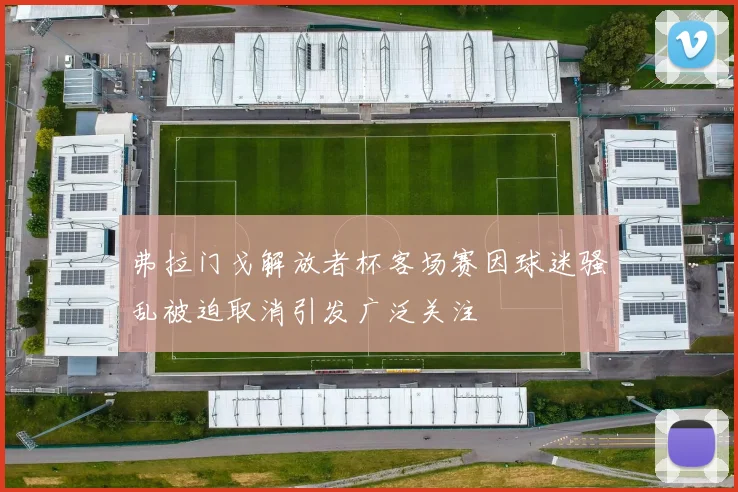 弗拉门戈解放者杯客场赛因球迷骚乱被迫取消引发广泛关注