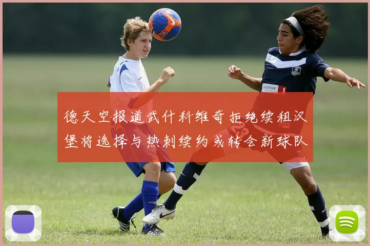 德天空报道武什科维奇拒绝续租汉堡将选择与热刺续约或转会新球队